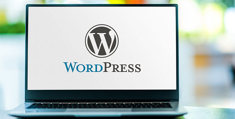 Why Choose WordPress for Your Business
